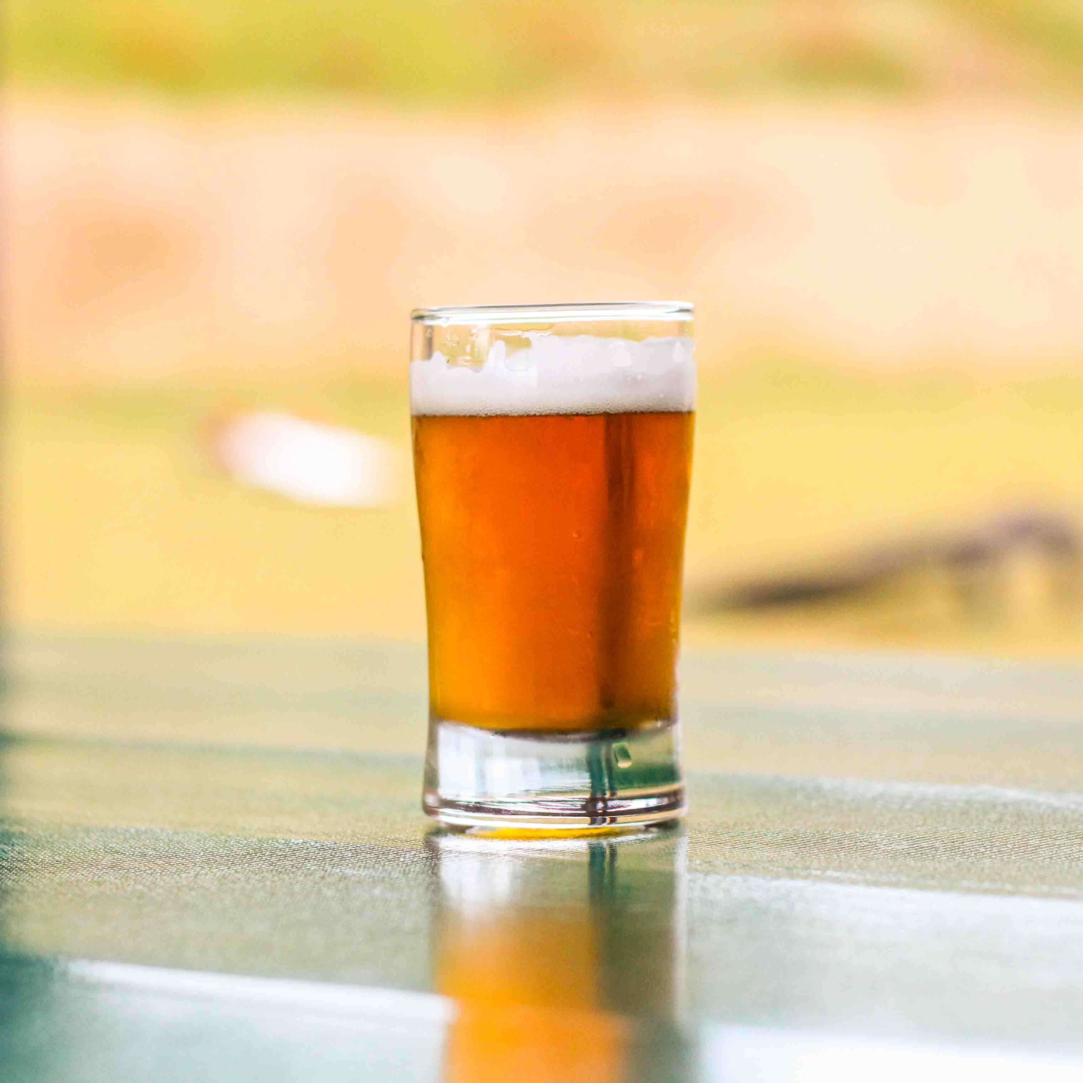 amber colored beer called King T in a tasting glass on a picnic table.